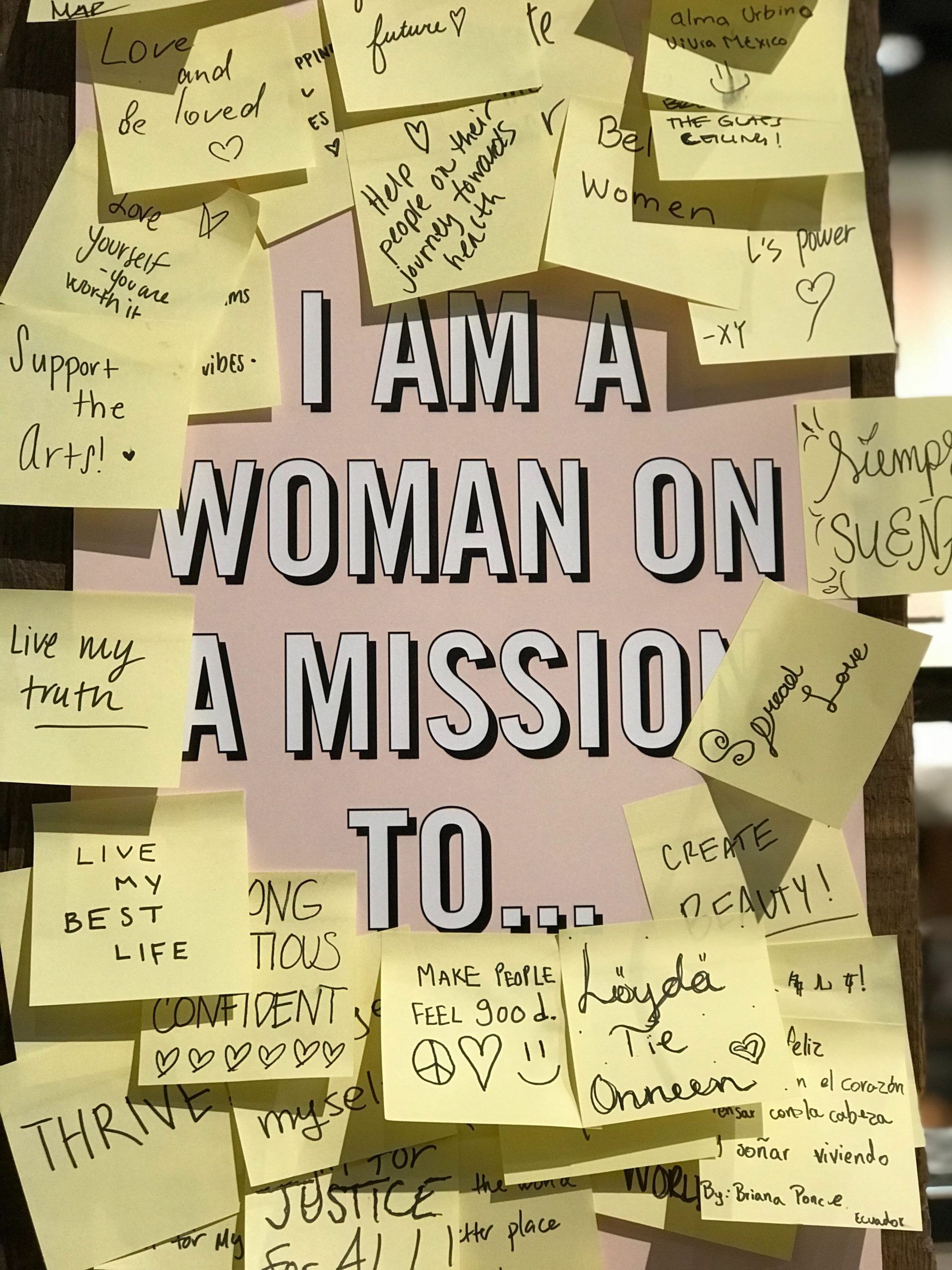 Graphic showing showing I am a woman on a mission